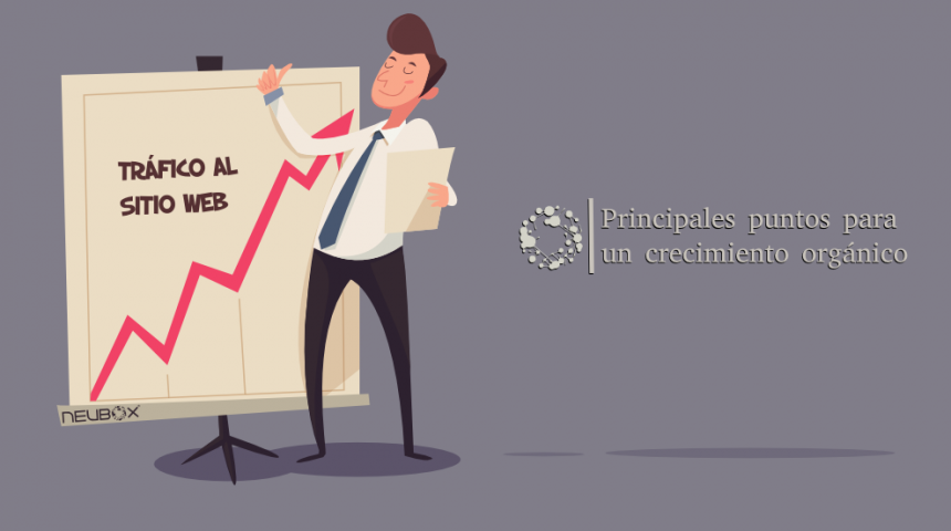 ¿Cuáles son los principales puntos a mejorar para tener un crecimiento orgánico de mi sitio?