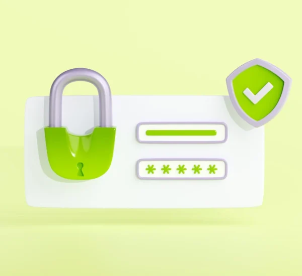 pin de seguridad
