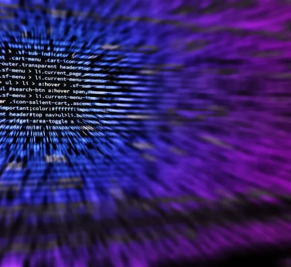 vulnerabilidades en el software