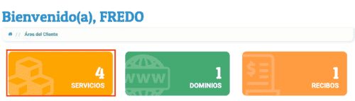 Servicios panel