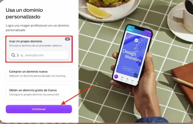 Campo para escribir tu dominio