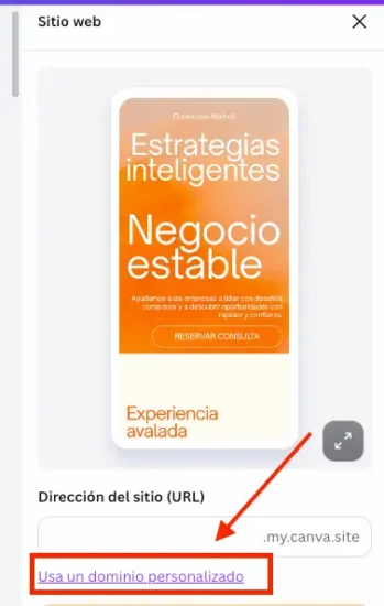 Opción Usar mi propio dominio